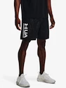 Pánske šortky Under Armour