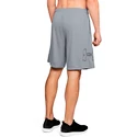 Pánske šortky Under Armour  Tech Graphic Short Grey
