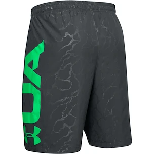 Pánske šortky Under Armour  Vanish Woven Emboss