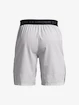 Pánske šortky Under Armour  Vanish Woven Snap Sts-GRY