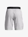 Pánske šortky Under Armour  Vanish Woven Snap Sts-GRY