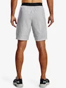 Pánske šortky Under Armour  Vanish Woven Snap Sts-GRY