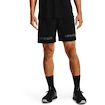 Pánske šortky Under Armour  Woven Graphic WM Short