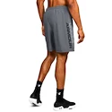 Pánske šortky Under Armour  Woven Graphic Wordmark Short Grey