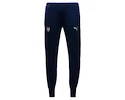 Pánske tepláky Puma Casuals Performance Arsenal FC 749778161