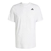 Pánske tričko adidas  Club Tennis Climacool Graphic T-Shirt White