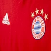 Pánske tričko adidas FC Bayern Mnichov Anthem AC6729