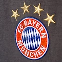 Pánske tričko adidas FC Bayern Mníchov AO0310