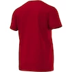 Pánske tričko adidas FC Bayern Mnichov AP1661