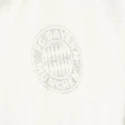 Pánske tričko adidas FC Bayern Mníchov GR AP1664