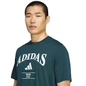 Pánske tričko adidas  Heritage Graphic Tee Aurora Ivy