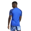 Pánske tričko adidas  Melbourne Ergo Tennis HEAT.RDY Raglan T-Shirt Blue
