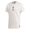 Pánske tričko adidas Seasonal Special Juventus FC