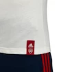 Pánske tričko adidas Street Graphic Arsenal FC biele