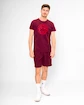 Pánske tričko BIDI BADU  Protected Leafs Chill Tee Bordeaux