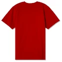 Pánske tričko CCM  Athleisure Tee Red
