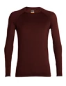 Pánske tričko Icebreaker  M 200 Zone Seamless LS Crewe ESPRESSO