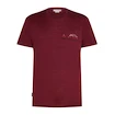 Pánske tričko Icebreaker Merino 150 Tech Lite SS T Sing Li Cmp Port XL