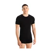 Pánske tričko Icebreaker Merino Anatomica 150 SS Crewe Black