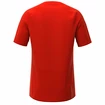 Pánske tričko Inov-8  Base Elite SS Red