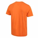 Pánske tričko Inov-8  Graphic Tee "Brand" Orange
