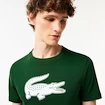 Pánske tričko Lacoste  Big Logo Core Performance T-Shirt Green/White