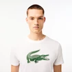 Pánske tričko Lacoste  Big Logo Core Performance T-Shirt White/Green