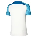 Pánske tričko Mizuno  Charge Shadow Tee White