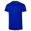 Pánske tričko Mizuno  Frontier Shadow Graphic Tee M Bellwether Blue