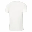 Pánske tričko Mizuno  Frontier Shadow Polo M White
