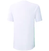 Pánske tričko Mizuno Shadow Polo White