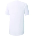 Pánske tričko Mizuno Shadow Polo White