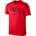 Pánske tričko Nike Squad Paris SG 805729-660