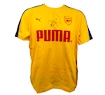 Pánske tričko Puma Arsenal FC Spectra žlté s originálnym podpisom Petra Čecha