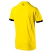 Pánske tričko Puma Borussia Dortmund 750128011