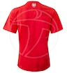 Pánské tričko Puma Fan Arsenal FC 750742011