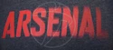 Pánske tričko Puma Fan Arsenal FC 750742021