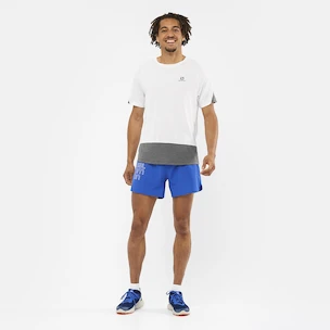 Pánske tričko Salomon Cross Run SS Tee White/Black