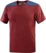 Pánske tričko Salomon  Outline SS Tee Cabernet