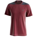 Pánske tričko Salomon  Outline SS Tee Cabernet