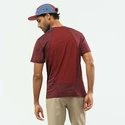 Pánske tričko Salomon  Outline SS Tee Cabernet