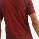 Pánske tričko Salomon  Outline SS Tee Cabernet