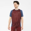 Pánske tričko Salomon Sense Aero SS Tee Cabernet