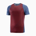 Pánske tričko Salomon Sense Aero SS Tee Cabernet