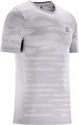 Pánske tričko Salomon XA Camo šedé