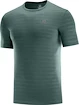 Pánske tričko Salomon XA Tee zelené