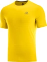 Pánske tričko Salomon XA Tee žlté