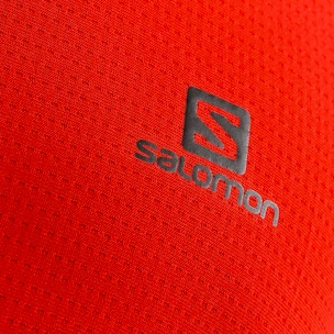 Pánske tričko Salomon  XA Trail Tee M Goji Berry