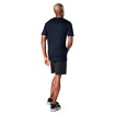 Pánske tričko Smartwool  M Merino 150 Baselayer SS BXD