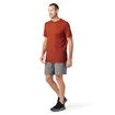 Pánske tričko Smartwool  Merino Sport 150 Tech Tee Picante